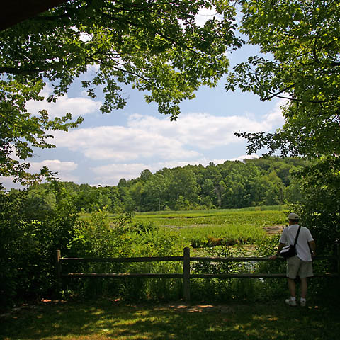 <b>11th Place</b><br>Thoughtful Spot *<br>by Jeannie M. Burleson