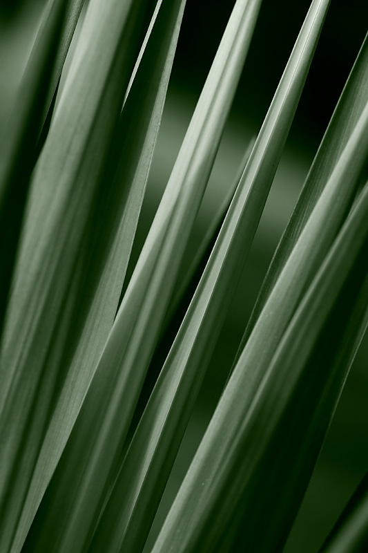 Untitled #1 *
