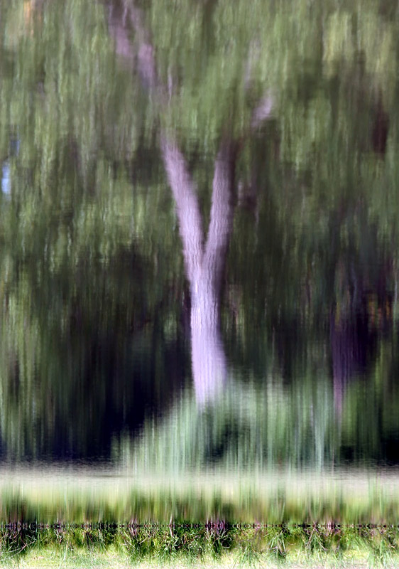Untitled #2 *