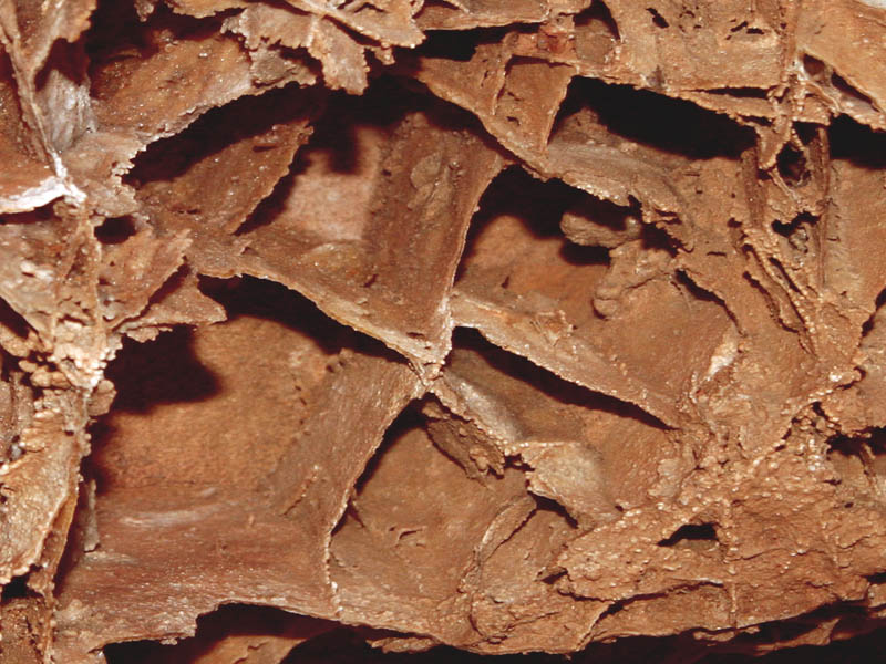Cave Boxwork*