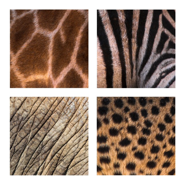 African Abstract