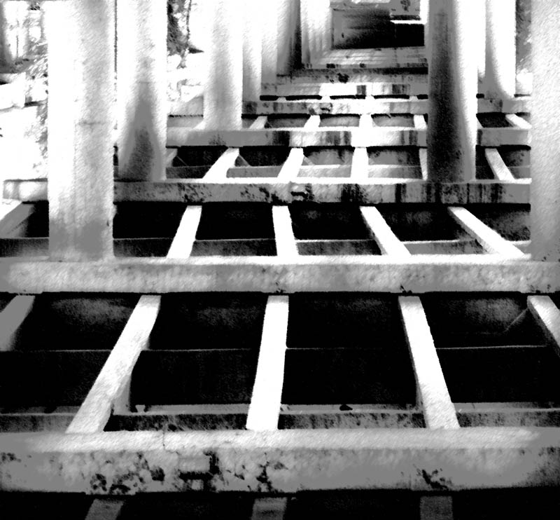 Under the Bridge