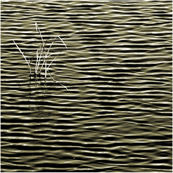 <b>10th Place</b><br>I N K<br>by Matt