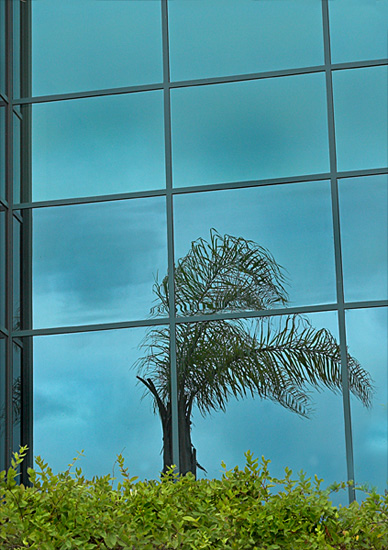 Window *