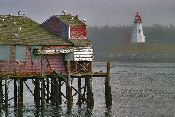 <b>6th Place</b><br>Lighthouse at Lubec  *<br>by shu