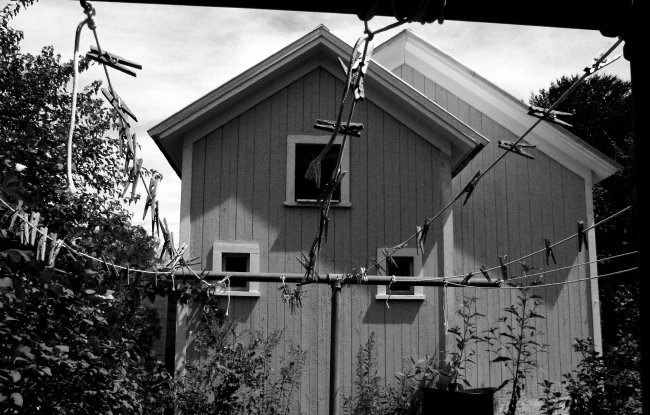 Back of the Barn *