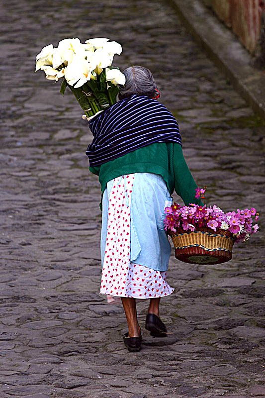 <b>4th Place</b><br>Florist*<br>by Pedro Fehlauer