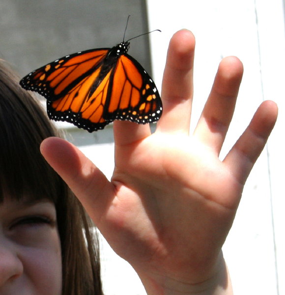 Fly Away *