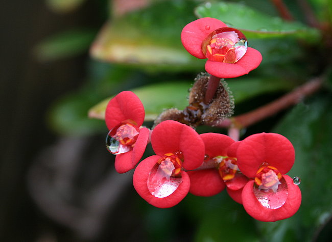 After the Rain *