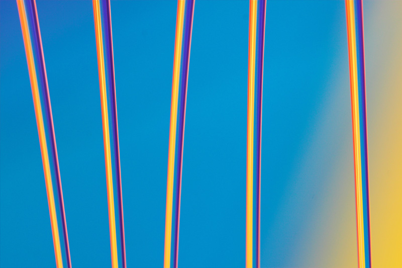 Fence of colors*