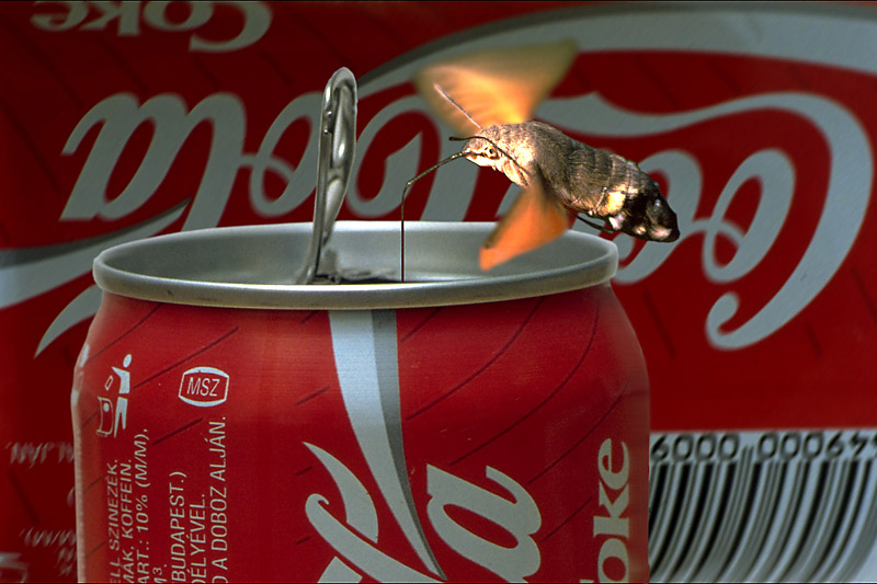 Always Coca Cola *