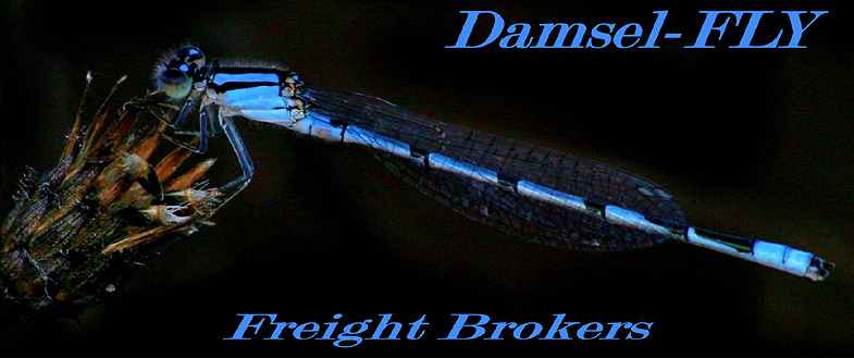 A Womans Touch in Freight Brokering