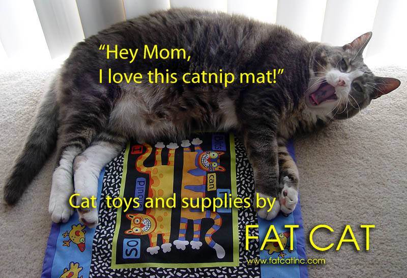 Fat Cat *