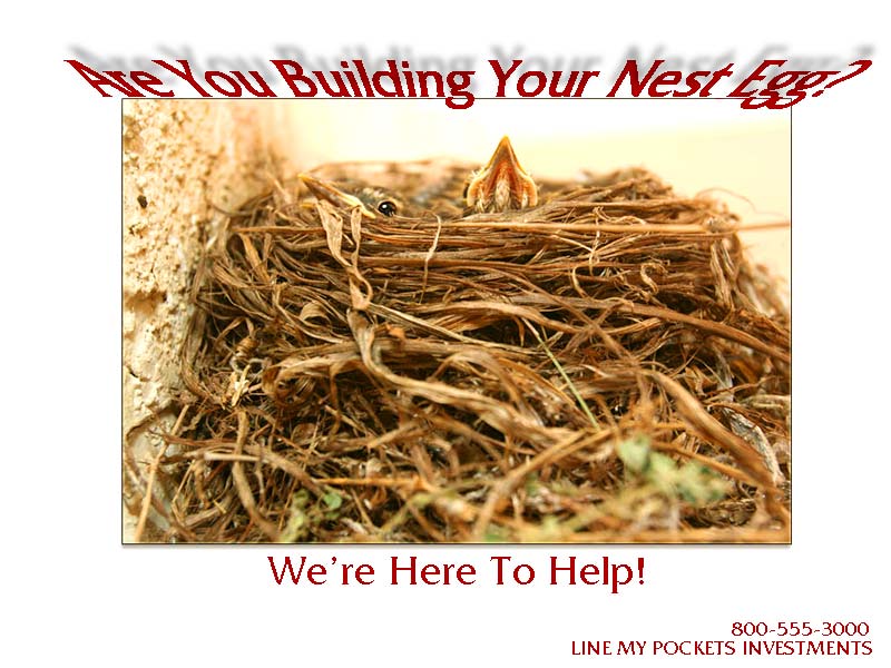 Feather Your (my) Nest