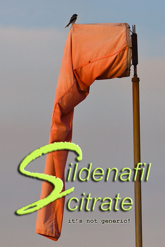 sildenafil citrate