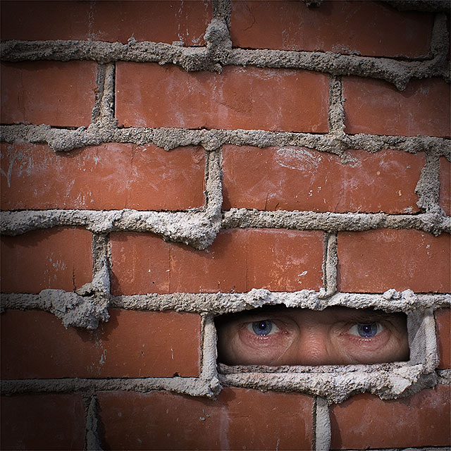 The Wall - dt