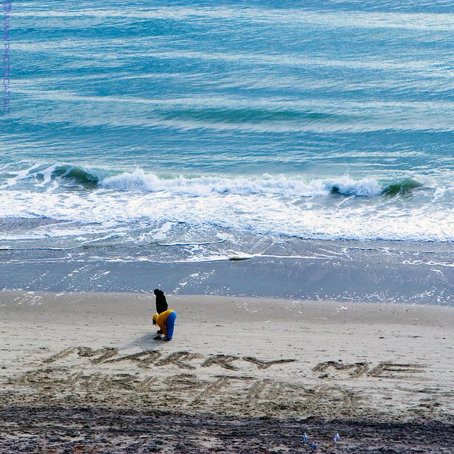 Wish you were here ... -Cat
