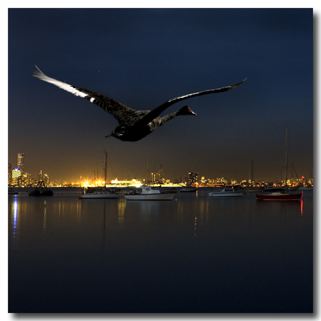 On The Wings Of The Night...