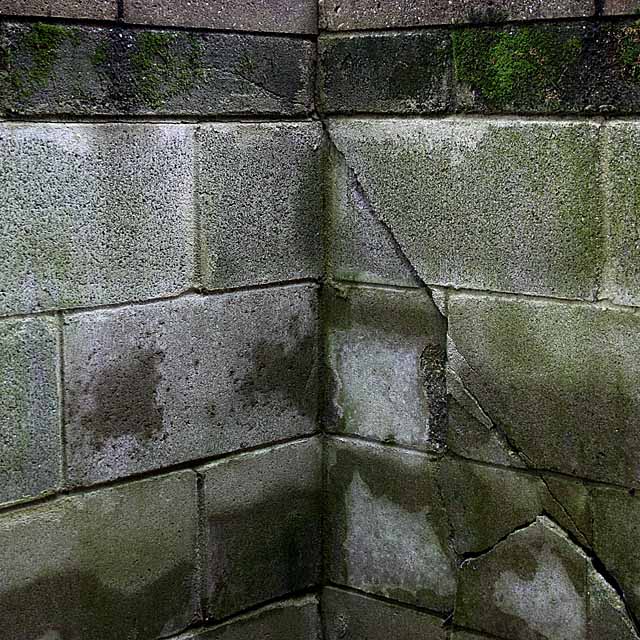 The Wall -tv