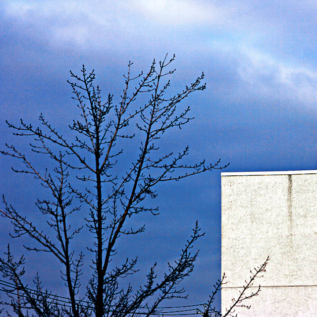 Goodbye Blue Skies -tv