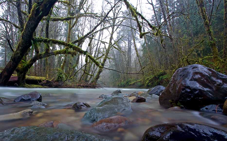 7th Place<br>River View<br>by Jim Thode (aka Bizzuth)