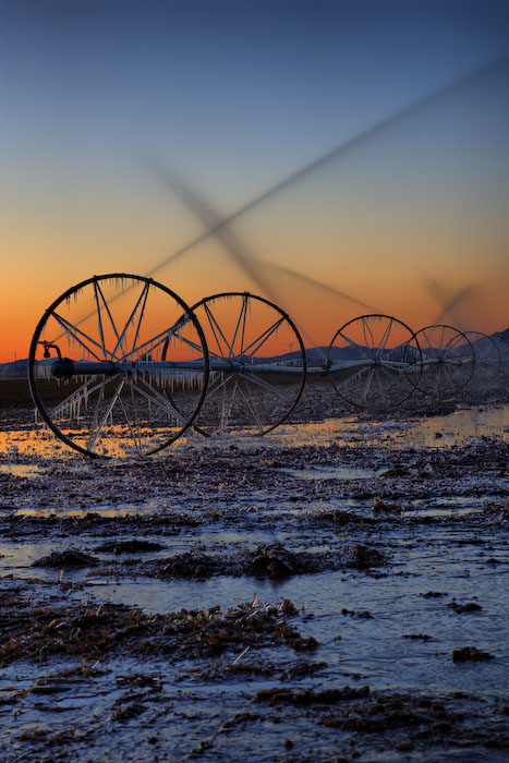 12th Place<br>Sunrise on the farm - HDR<br>by<br>Barry Shaffer