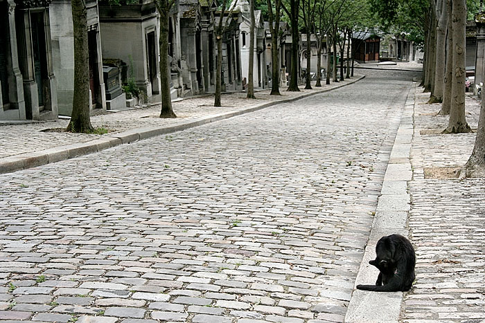 Pre Lachaise Cemetery