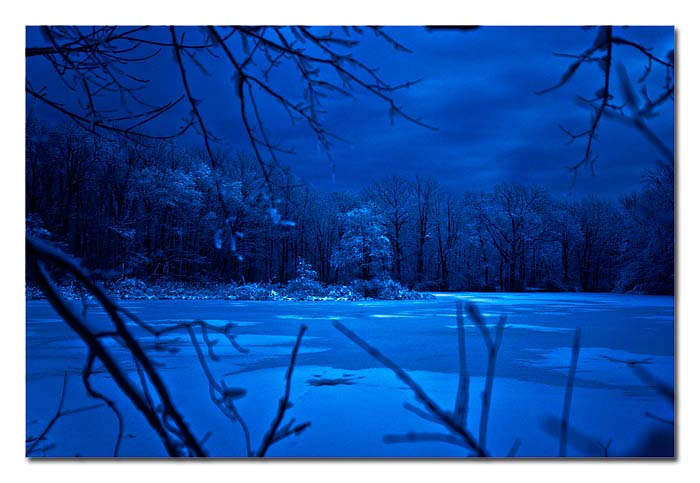 Blue Moon Cold