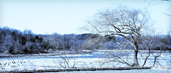 Nessequogue River