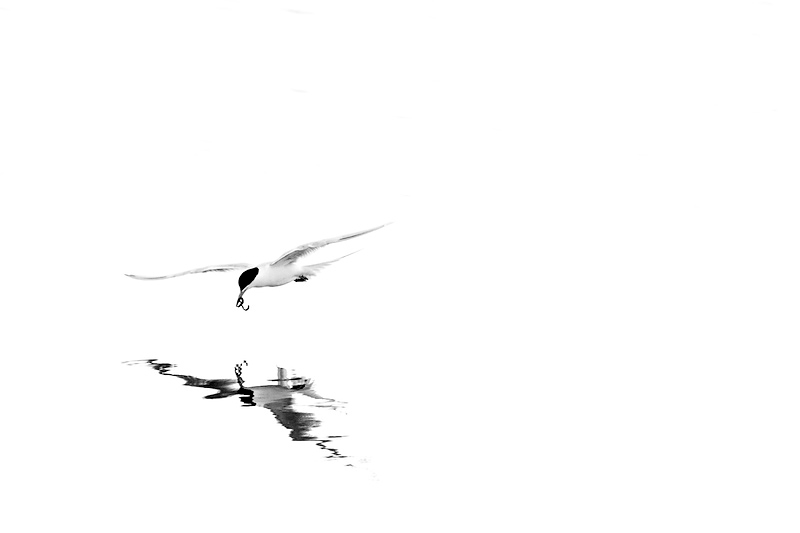 Reflection - 4th by RK