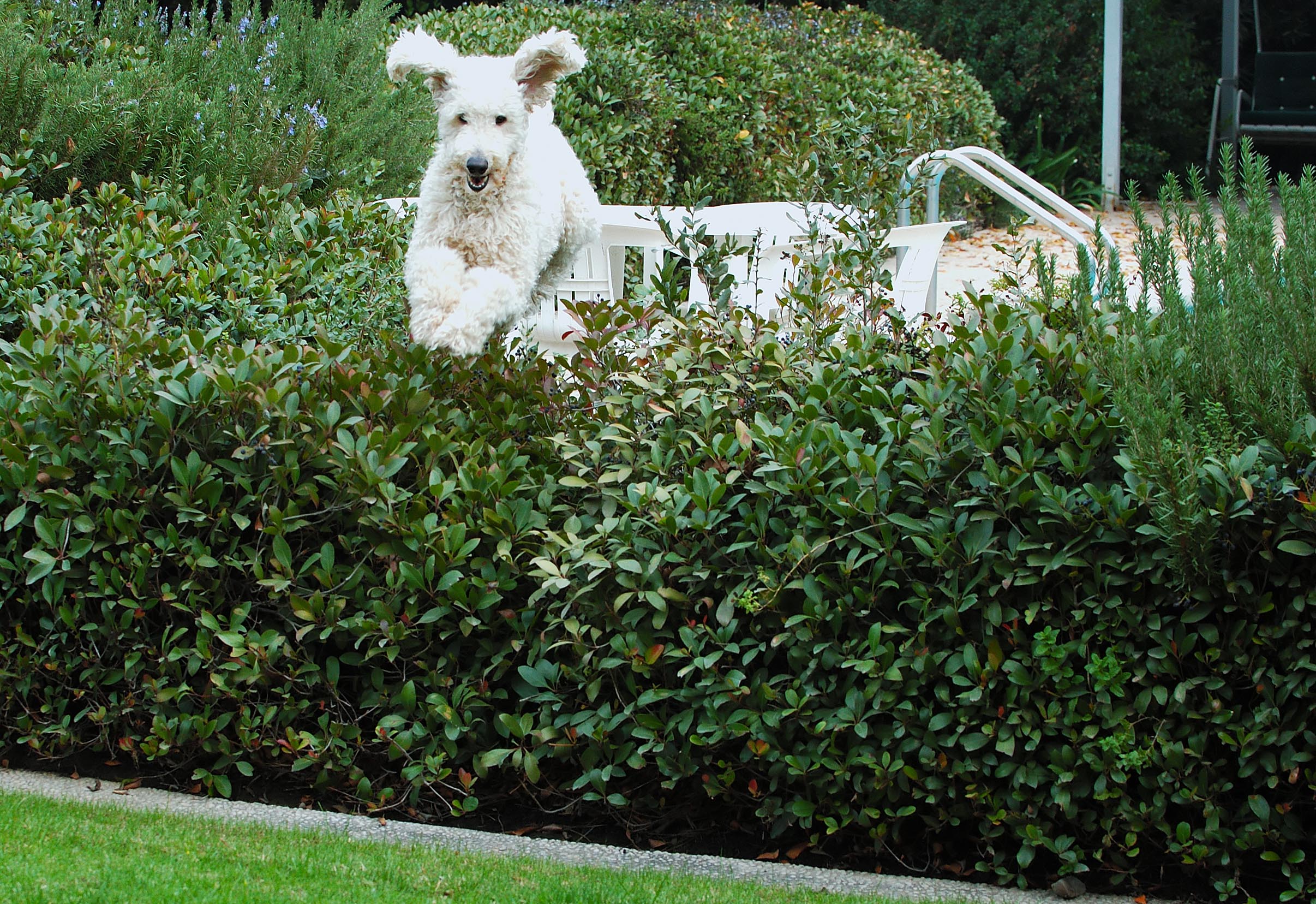 D70_1200Mattie.jpg