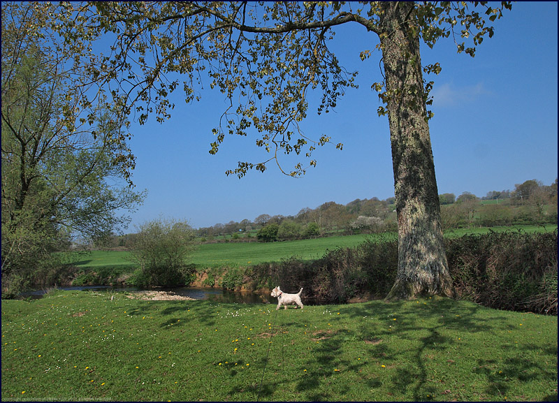19th April 2011