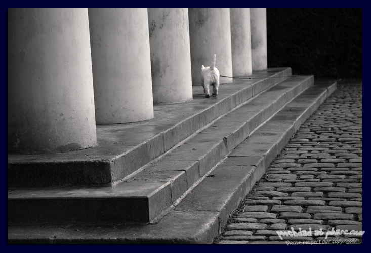 27122005  among the columns