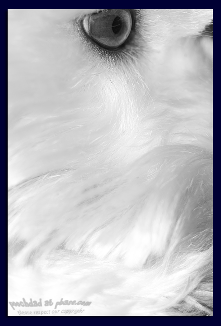 10012006 abstract