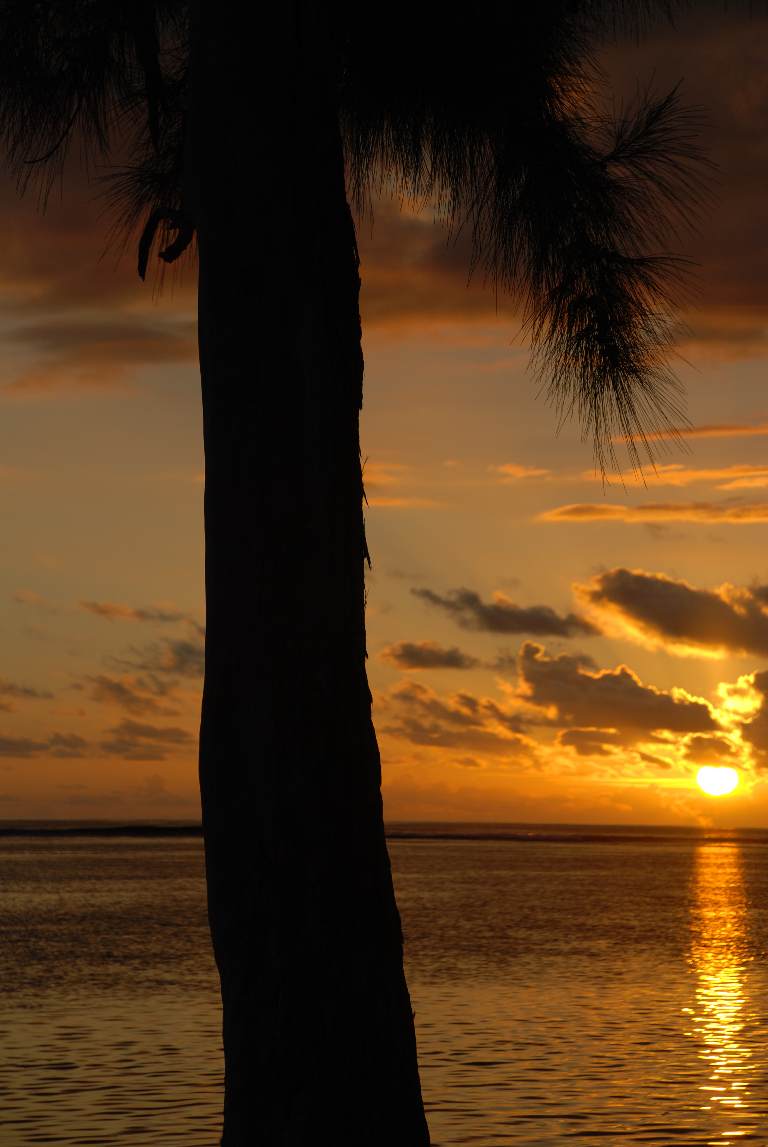 DSC_2884.JPG