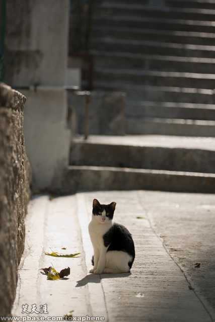 DSC00850_1a.jpg