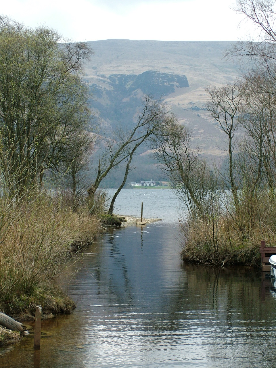 Spring Loch Lomond.JPG