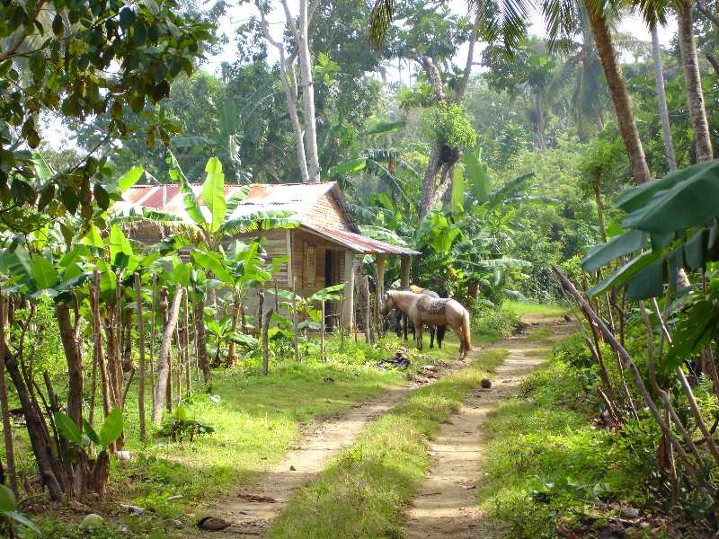 Dominican house with horses