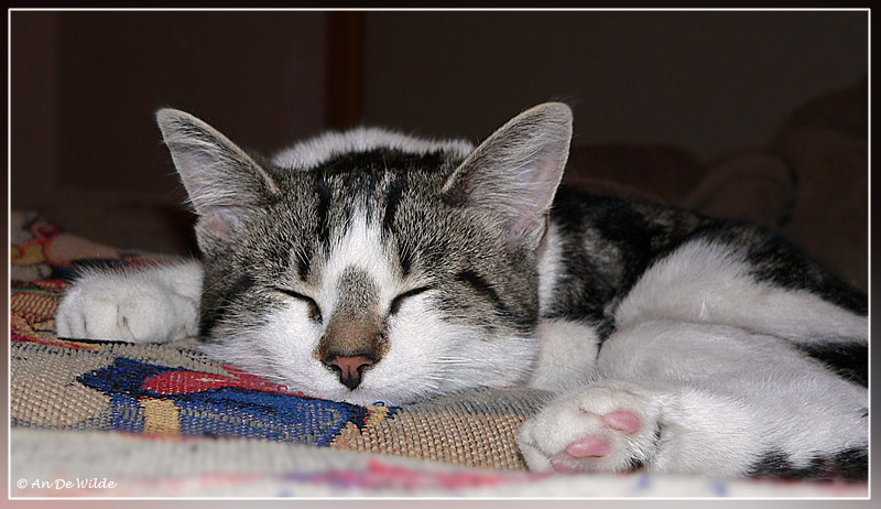 ZZZZZZzzzzzzzzzzzzz