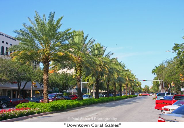 065 Downtown Coral Gables.jpg