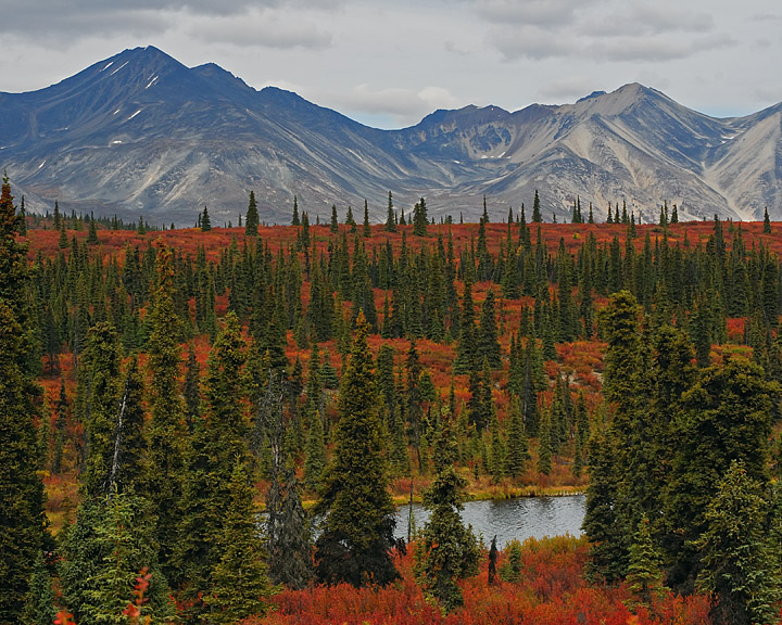 Denali Highway