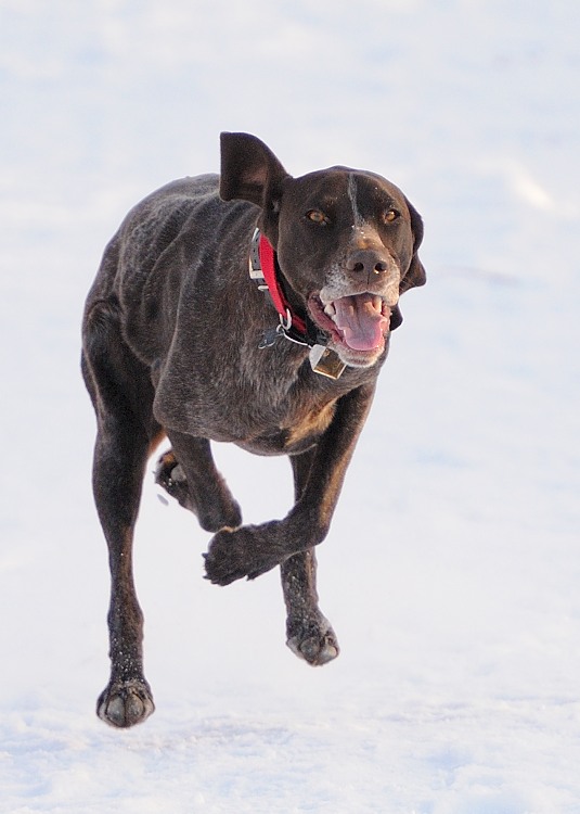 Flat Out Running