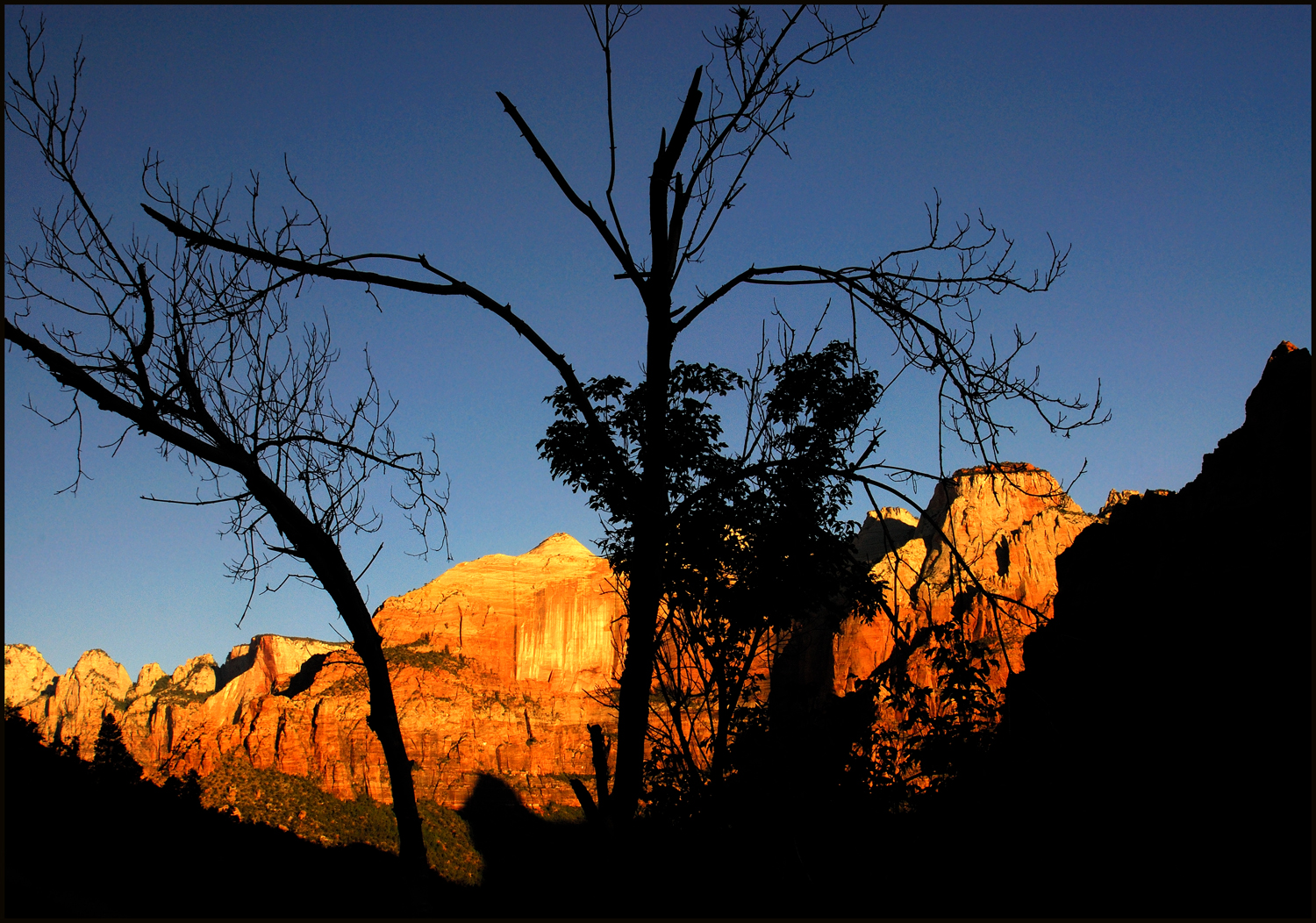 Dawn - Zion NP