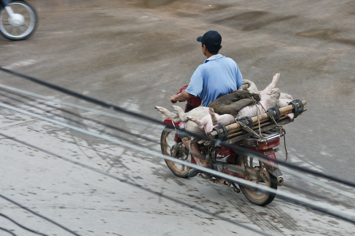 Siam Reap-2.jpg