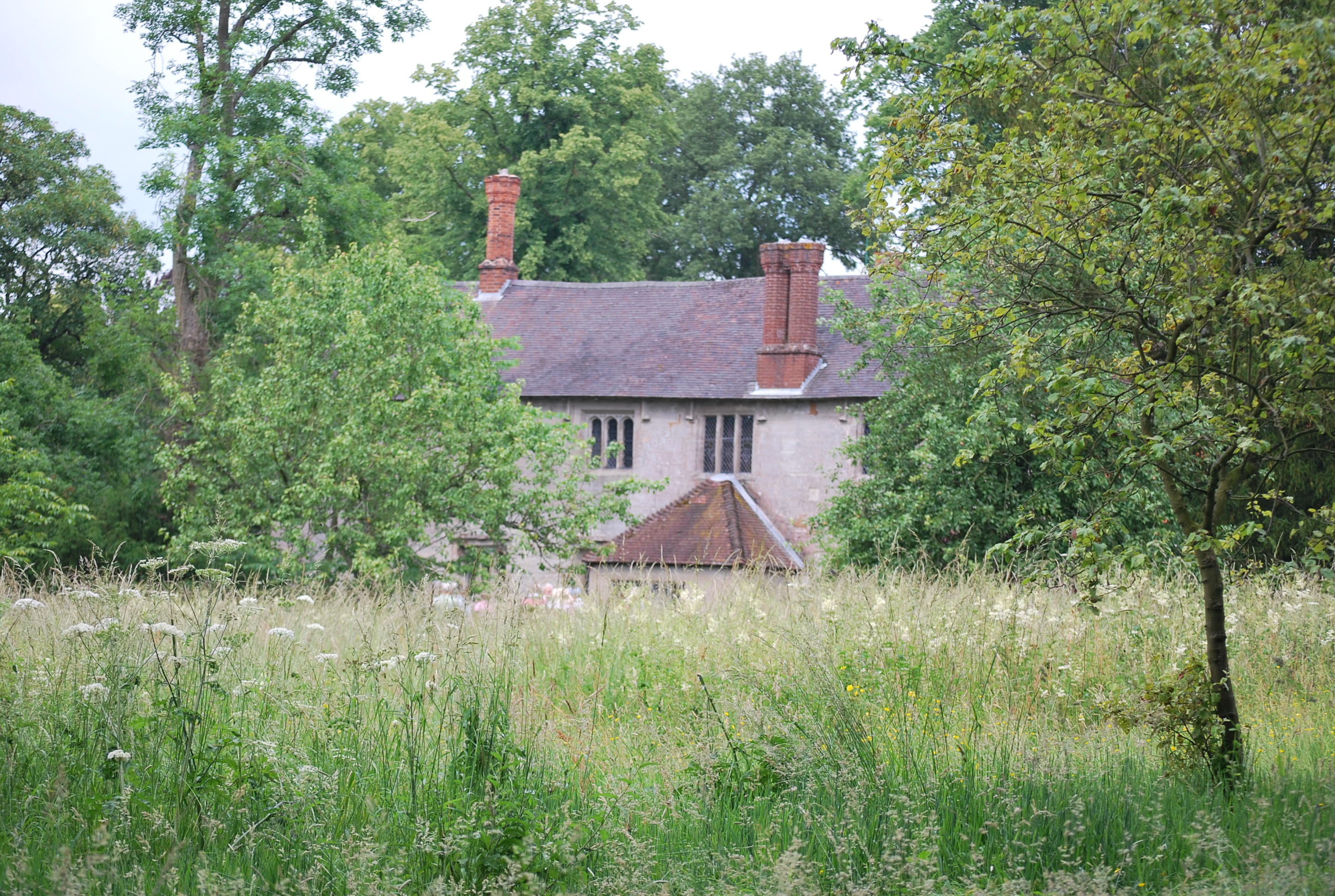 DSC_0052_645.JPG