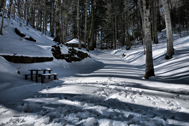 And still Winter.....
