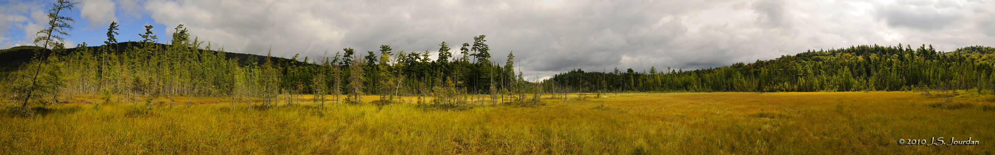 FerdsBog4880_82_84_87_89_92_92_96b.jpg