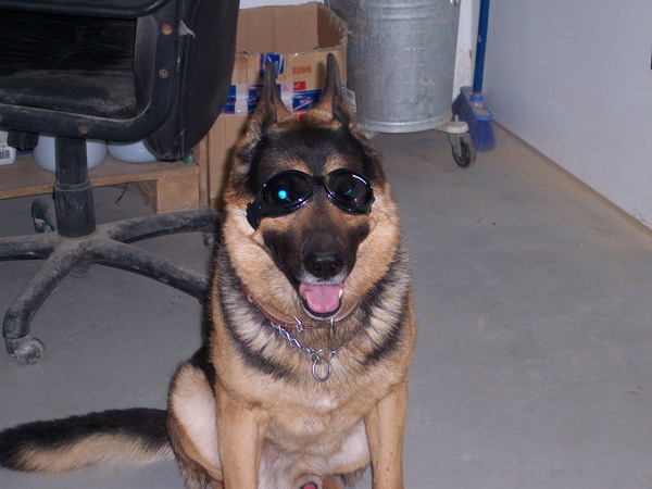 SSgt. Jason Fields  MWD Eddy with new Doggles