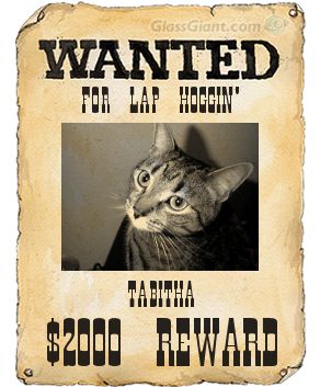 o4/37/572137/1/66172864.QQExBodp.wantedposterTABITHA.jpg