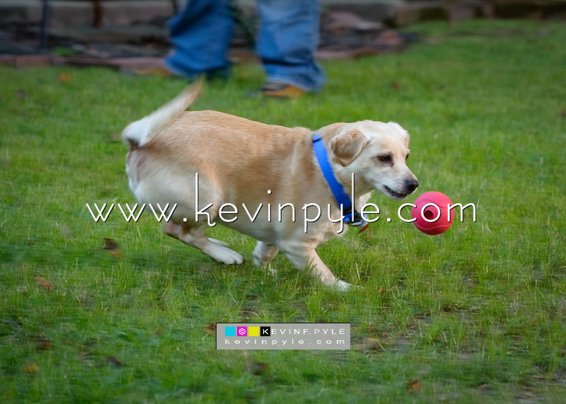 _KP71309.JPG